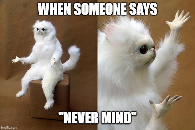 Persian Cat Room Guardian Meme | WHEN SOMEONE SAYS; "NEVER MIND" | image tagged in memes,persian cat room guardian | made w/ Imgflip meme maker
