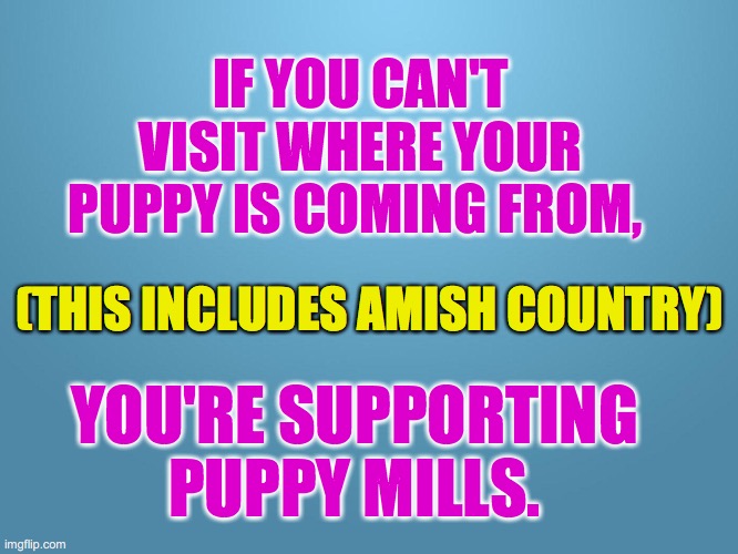 PUPPY MILLS/AMISH |  IF YOU CAN'T VISIT WHERE YOUR PUPPY IS COMING FROM, (THIS INCLUDES AMISH COUNTRY); YOU'RE SUPPORTING PUPPY MILLS. | image tagged in solid blue | made w/ Imgflip meme maker