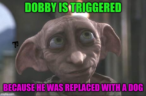 dobby | DOBBY IS TRIGGERED BECAUSE HE WAS REPLACED WITH A DOG | image tagged in dobby | made w/ Imgflip meme maker