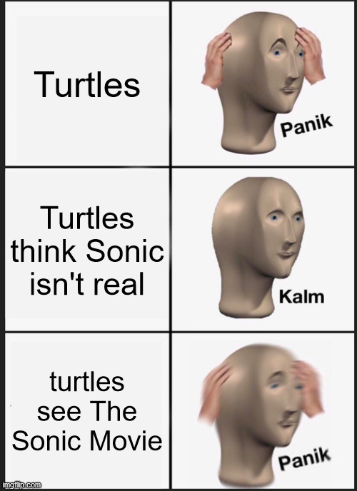 Turtles Turtles think Sonic isn't real turtles see The Sonic Movie | image tagged in memes,panik kalm panik | made w/ Imgflip meme maker