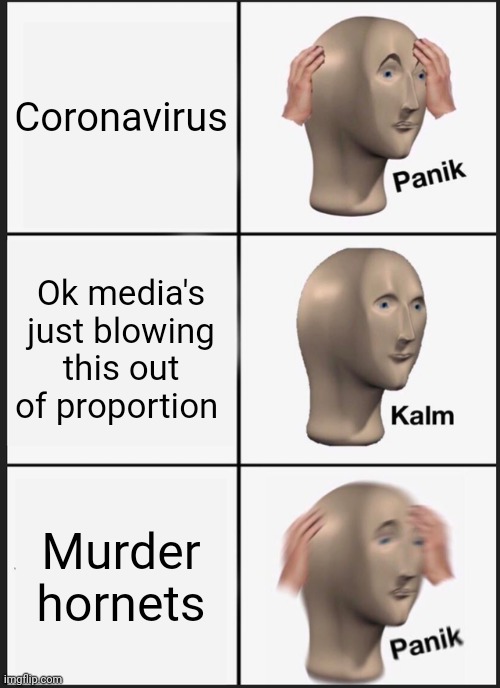 2020 be like | Coronavirus; Ok media's just blowing this out of proportion; Murder hornets | image tagged in memes,panik kalm panik | made w/ Imgflip meme maker