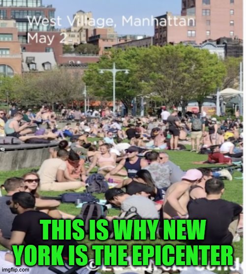 Why don't you just lick a petri dish? | THIS IS WHY NEW YORK IS THE EPICENTER | image tagged in big,rotten,apple | made w/ Imgflip meme maker