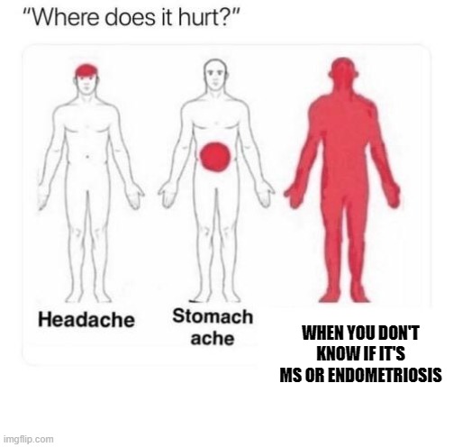 Where does it hurt | WHEN YOU DON'T KNOW IF IT'S MS OR ENDOMETRIOSIS | image tagged in where does it hurt | made w/ Imgflip meme maker