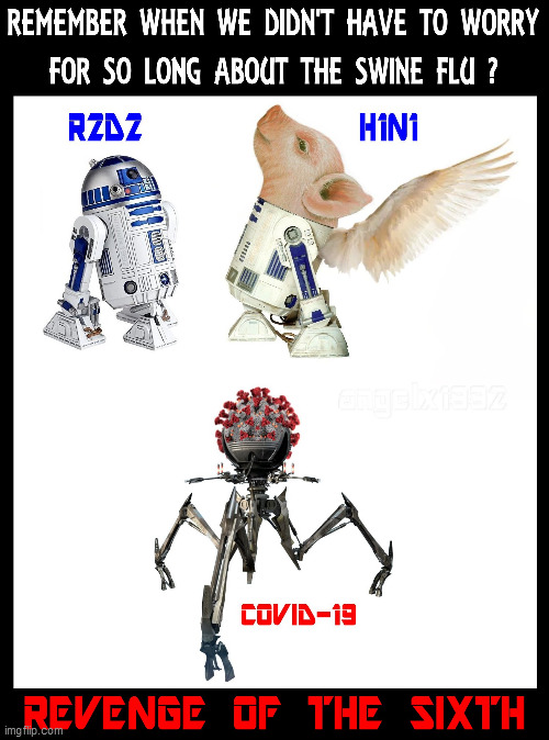 Revenge Of The Sixth | image tagged in star wars,revenge of the sith,revenge of the 6th,r2d2,covid-19 | made w/ Imgflip meme maker