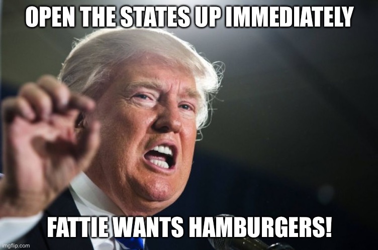 Fattie wants hamburgers! | OPEN THE STATES UP IMMEDIATELY; FATTIE WANTS HAMBURGERS! | image tagged in donald trump | made w/ Imgflip meme maker