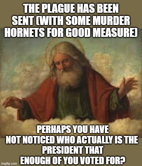god | THE PLAGUE HAS BEEN SENT (WITH SOME MURDER HORNETS FOR GOOD MEASURE) PERHAPS YOU HAVE NOT NOTICED WHO ACTUALLY IS THE 
PRESIDENT THAT ENOUGH | image tagged in god | made w/ Imgflip meme maker