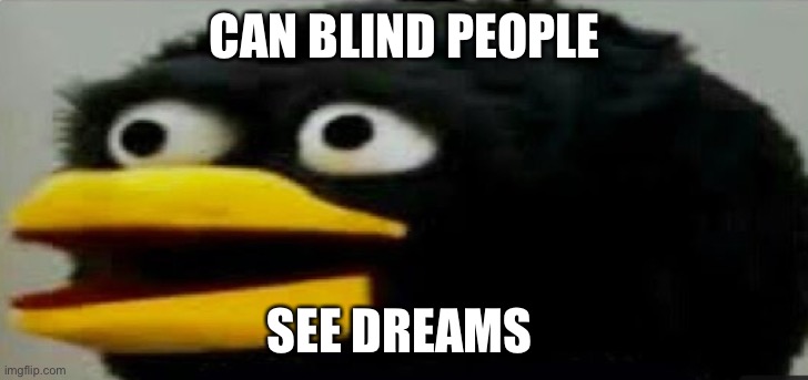CAN BLIND PEOPLE; SEE DREAMS | image tagged in memes | made w/ Imgflip meme maker