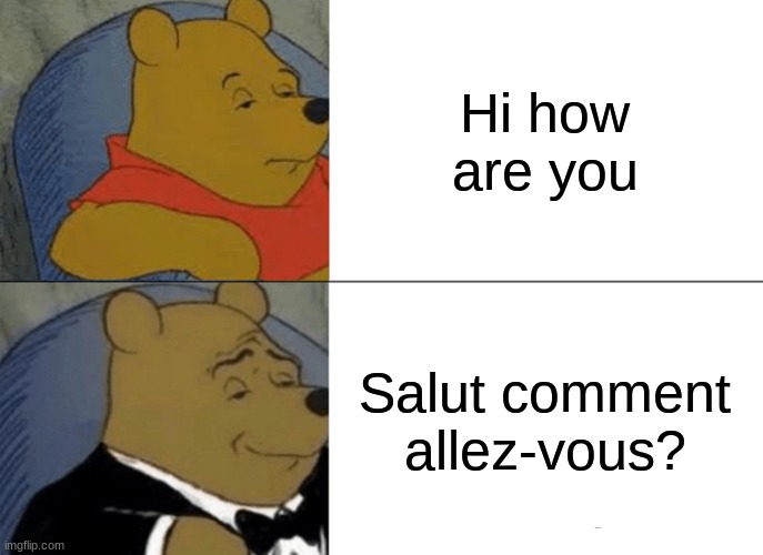 Tuxedo Winnie The Pooh | Hi how are you; Salut comment allez-vous? | image tagged in memes,tuxedo winnie the pooh | made w/ Imgflip meme maker