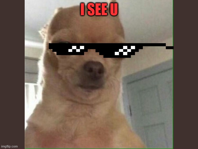 Dogo | I SEE U | image tagged in dogo | made w/ Imgflip meme maker