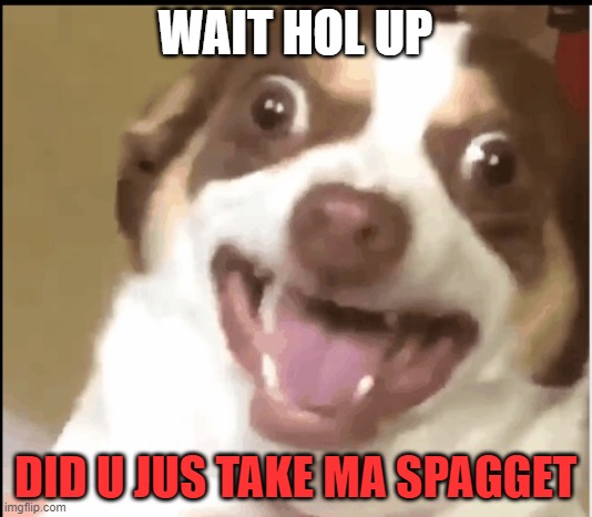 did u take ma spagget | WAIT HOL UP; DID U JUS TAKE MA SPAGGET | image tagged in dogo | made w/ Imgflip meme maker
