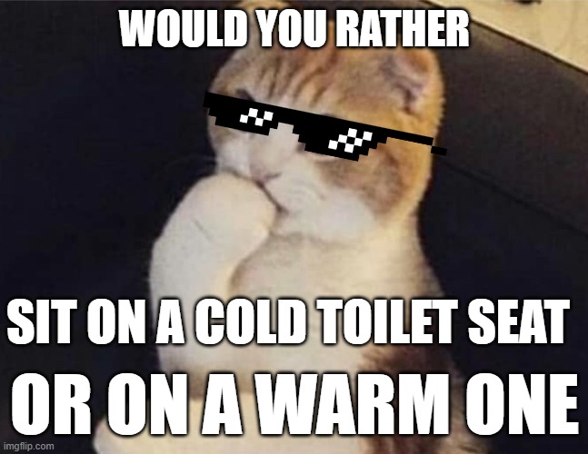wait hold up | WOULD YOU RATHER; SIT ON A COLD TOILET SEAT; OR ON A WARM ONE | image tagged in thinking cat | made w/ Imgflip meme maker