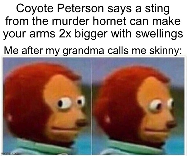 Game rule/Skinny False | Coyote Peterson says a sting from the murder hornet can make your arms 2x bigger with swellings; Me after my grandma calls me skinny: | image tagged in memes,monkey puppet | made w/ Imgflip meme maker