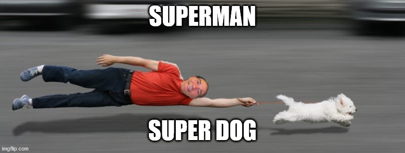 dog walker | SUPERMAN; SUPER DOG | image tagged in dog walker | made w/ Imgflip meme maker