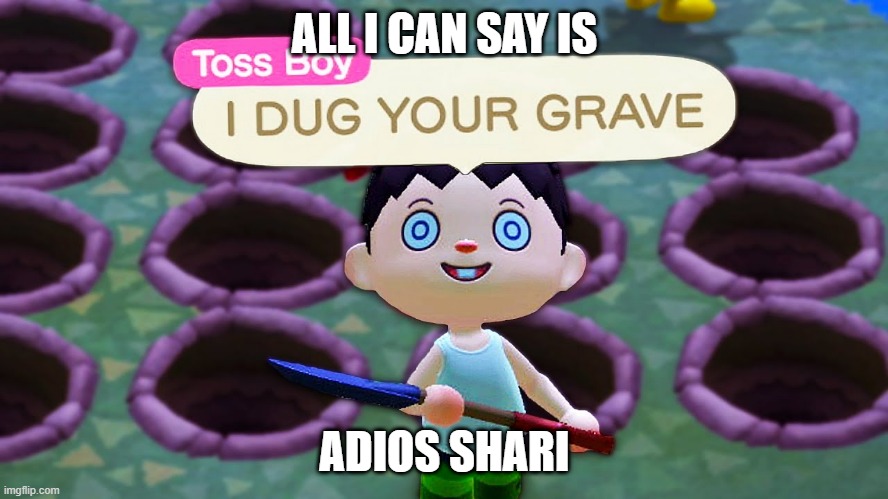 Toss Boy | ALL I CAN SAY IS; ADIOS SHARI | image tagged in toss boy,funny,animal crossing,meme,funny meme | made w/ Imgflip meme maker