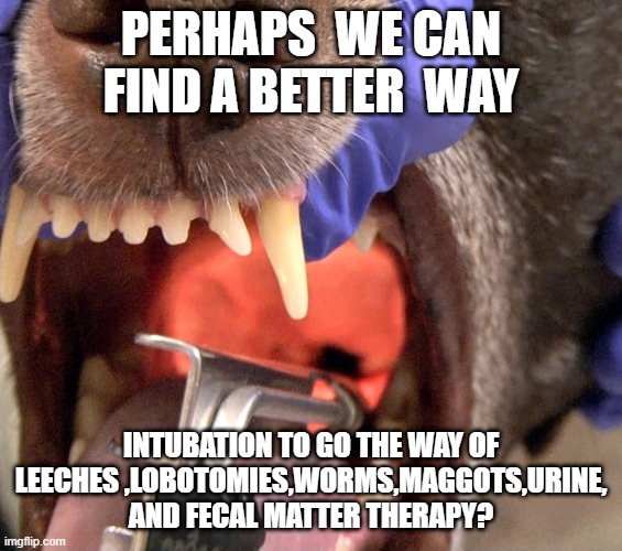 intubation | PERHAPS  WE CAN FIND A BETTER  WAY; INTUBATION TO GO THE WAY OF LEECHES ,LOBOTOMIES,WORMS,MAGGOTS,URINE, AND FECAL MATTER THERAPY? | image tagged in intubation | made w/ Imgflip meme maker