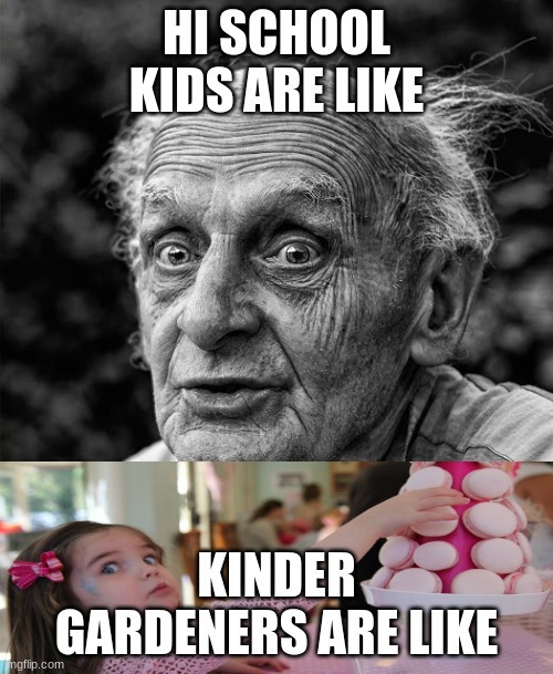 hi school people vs kinders | HI SCHOOL KIDS ARE LIKE; KINDER GARDENERS ARE LIKE | image tagged in '-' | made w/ Imgflip meme maker