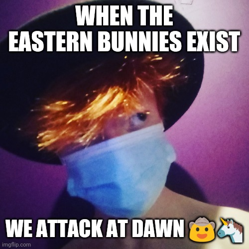 Felt cute during lockdown | WHEN THE EASTERN BUNNIES EXIST; WE ATTACK AT DAWN 🤠🦄 | image tagged in corona cowboys 2 | made w/ Imgflip meme maker