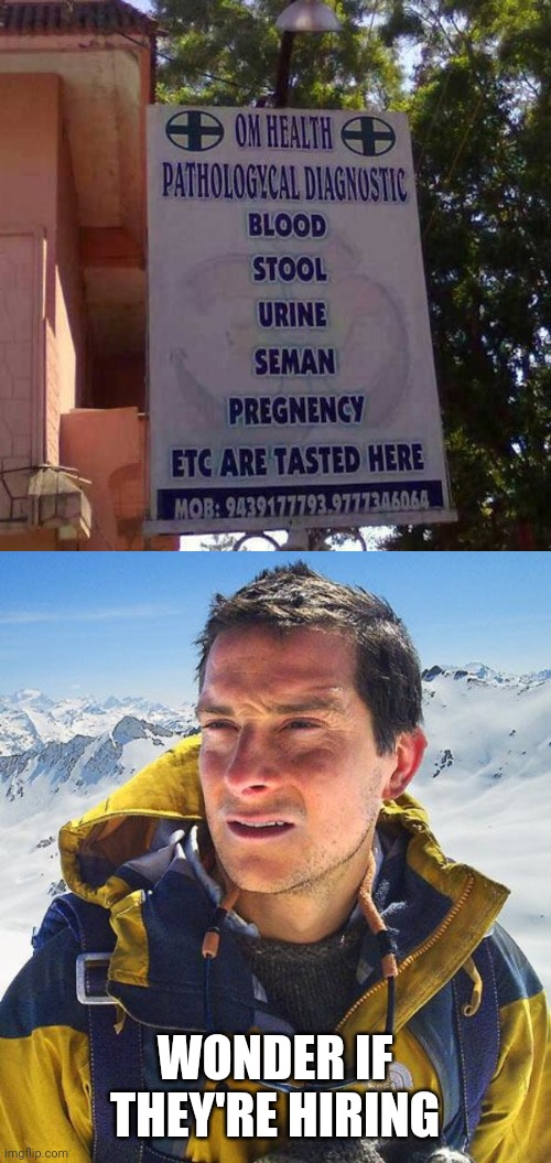 HIS KINDA PLACE | WONDER IF THEY'RE HIRING | image tagged in memes,bear grylls,wtf,taste | made w/ Imgflip meme maker