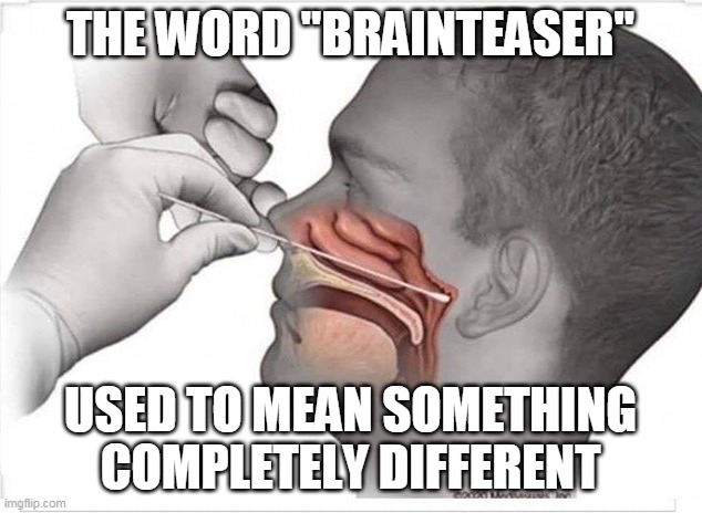 Coronavirus Swab | THE WORD "BRAINTEASER"; USED TO MEAN SOMETHING COMPLETELY DIFFERENT | image tagged in coronavirus swab | made w/ Imgflip meme maker