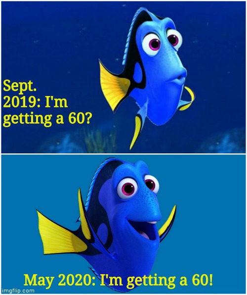 The real impact of the corona virus. | Sept. 2019: I'm getting a 60? May 2020: I'm getting a 60! | image tagged in dory | made w/ Imgflip meme maker