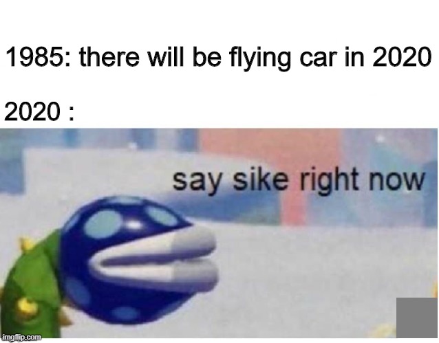 say sike right now | 1985: there will be flying car in 2020; 2020 : | image tagged in say sike right now,2020,indonesia | made w/ Imgflip meme maker