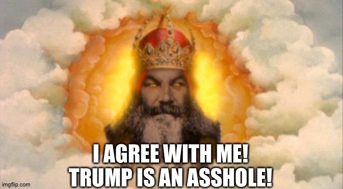 monty python god | I AGREE WITH ME!
TRUMP IS AN ASSHOLE! | image tagged in monty python god | made w/ Imgflip meme maker