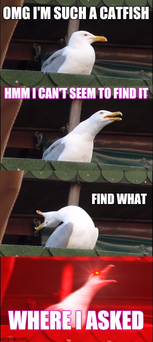 Inhaling Seagull | OMG I'M SUCH A CATFISH; HMM I CAN'T SEEM TO FIND IT; FIND WHAT; WHERE I ASKED | image tagged in memes,inhaling seagull | made w/ Imgflip meme maker