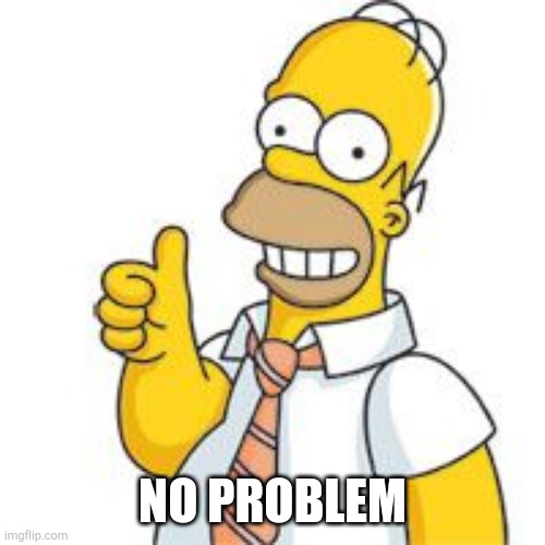 homer no problemo | NO PROBLEM | image tagged in homer no problemo | made w/ Imgflip meme maker