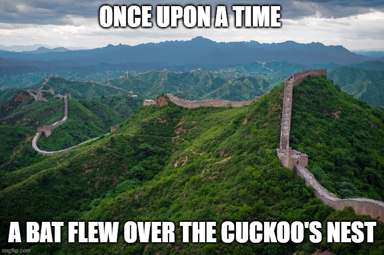 Calling all bozos on the bus. | ONCE UPON A TIME; A BAT FLEW OVER THE CUCKOO'S NEST | image tagged in great wall of china,memes,bat | made w/ Imgflip meme maker