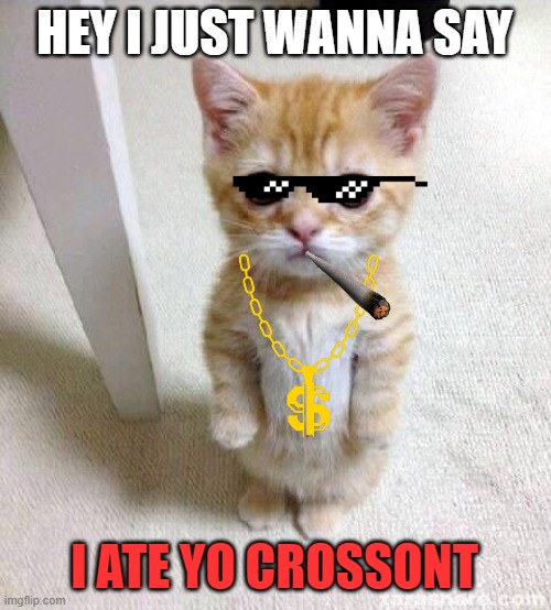 Cute Cat Meme | HEY I JUST WANNA SAY; I ATE YO CROSSONT | image tagged in memes,cute cat | made w/ Imgflip meme maker