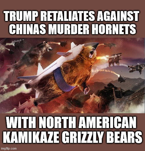 Kamakzie Grizzlies | TRUMP RETALIATES AGAINST 
CHINAS MURDER HORNETS; WITH NORTH AMERICAN 
KAMIKAZE GRIZZLY BEARS | image tagged in murder hornets | made w/ Imgflip meme maker