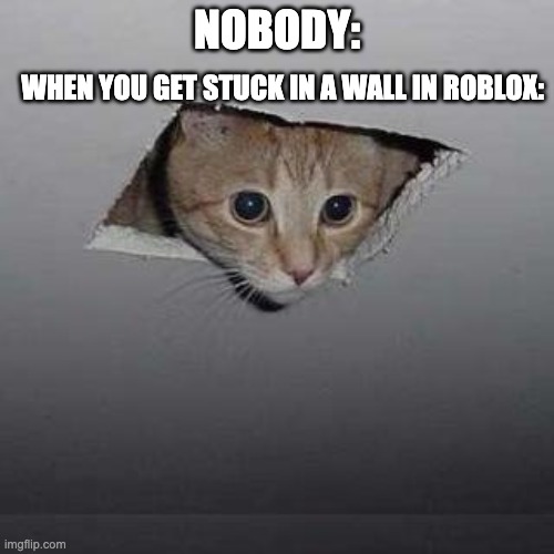 Ceiling Cat | NOBODY:; WHEN YOU GET STUCK IN A WALL IN ROBLOX: | image tagged in memes,ceiling cat | made w/ Imgflip meme maker