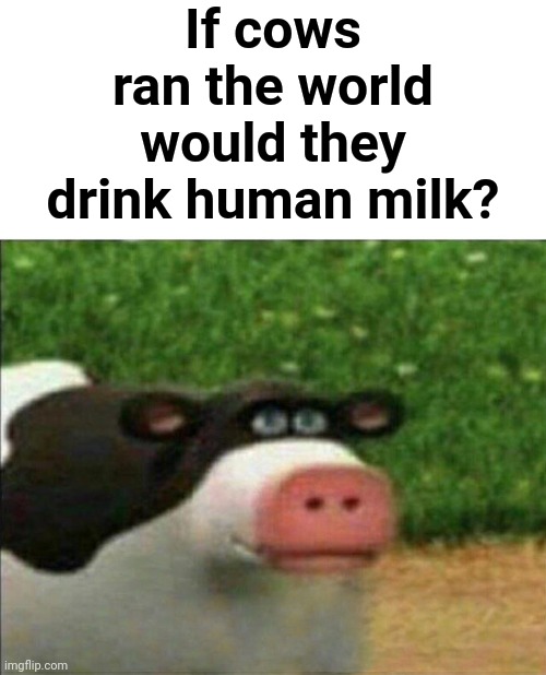 Yes this is a real question I have. | If cows ran the world would they drink human milk? | image tagged in perhaps cow | made w/ Imgflip meme maker