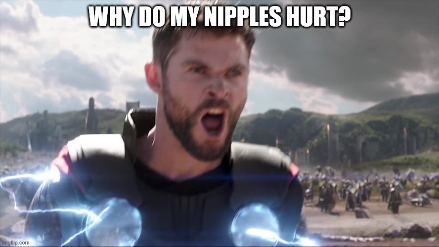 Thor Bring me Thanos | WHY DO MY NIPPLES HURT? | image tagged in thor bring me thanos,nipples,funny memes,avengers,kittens | made w/ Imgflip meme maker