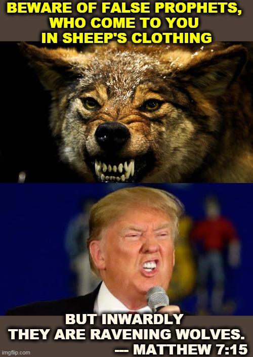 And I say unto thee, only the simplest among you will fall for his line of bullsh*t. | BEWARE OF FALSE PROPHETS, 
WHO COME TO YOU 
IN SHEEP'S CLOTHING; BUT INWARDLY 
THEY ARE RAVENING WOLVES.
                        --- MATTHEW 7:15 | image tagged in trump,bible,sheep,wolf,nasty | made w/ Imgflip meme maker