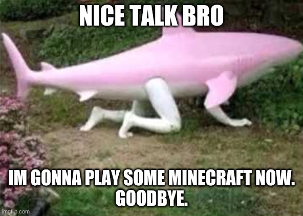 simple way to end a conversation | NICE TALK BRO; IM GONNA PLAY SOME MINECRAFT NOW.
GOODBYE. | image tagged in shark | made w/ Imgflip meme maker
