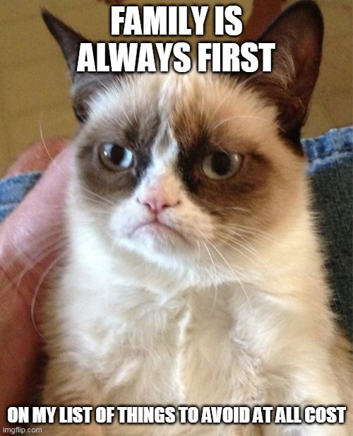 Grumpy Cat Meme | FAMILY IS ALWAYS FIRST; ON MY LIST OF THINGS TO AVOID AT ALL COST | image tagged in memes,grumpy cat | made w/ Imgflip meme maker