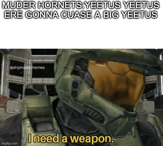 I need a weapon | MUDER HORNETS:YEETUS YEETUS ERE GONNA CUASE A BIG YEETUS | image tagged in i need a weapon | made w/ Imgflip meme maker