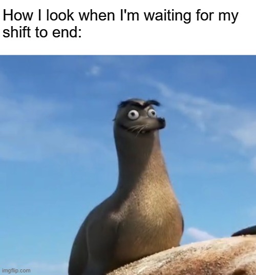 Gerald the Sea Lion | How I look when I'm waiting for my
shift to end: | image tagged in gerald the sea lion | made w/ Imgflip meme maker