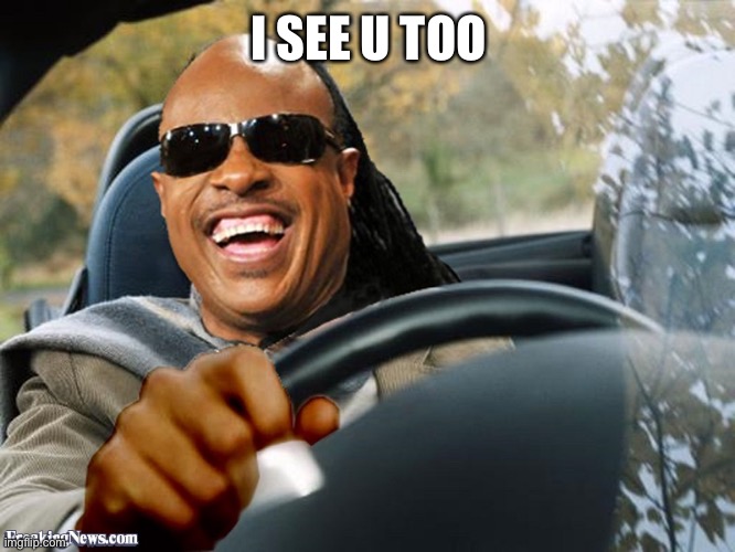 Stevie Wonder Driving | I SEE U TOO | image tagged in stevie wonder driving | made w/ Imgflip meme maker