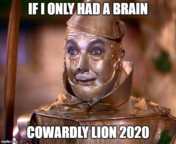 Tinman | IF I ONLY HAD A BRAIN; COWARDLY LION 2020 | image tagged in tinman | made w/ Imgflip meme maker