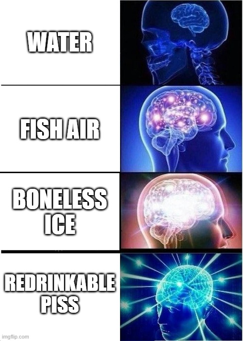 smortness | WATER; FISH AIR; BONELESS ICE; REDRINKABLE PISS | image tagged in memes,expanding brain | made w/ Imgflip meme maker