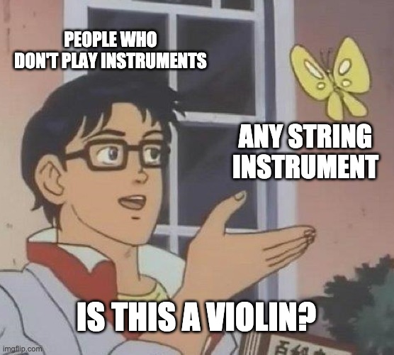 Is This A Pigeon | PEOPLE WHO DON'T PLAY INSTRUMENTS; ANY STRING INSTRUMENT; IS THIS A VIOLIN? | image tagged in memes,is this a pigeon | made w/ Imgflip meme maker