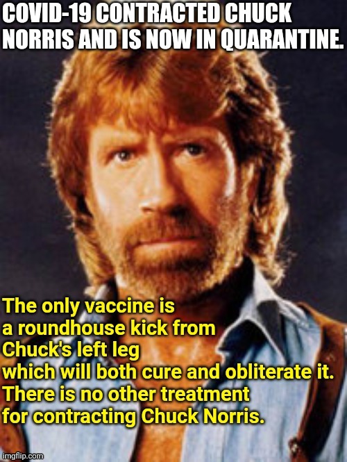 Covid Chuck Norris | image tagged in chuck norris approves,chuck norris,chuck norris fact | made w/ Imgflip meme maker