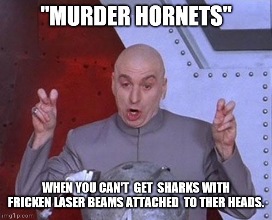 Murder Hornets | "MURDER HORNETS"; WHEN YOU CAN'T  GET  SHARKS WITH FRICKEN LASER BEAMS ATTACHED  TO THER HEADS. | image tagged in memes,dr evil laser | made w/ Imgflip meme maker