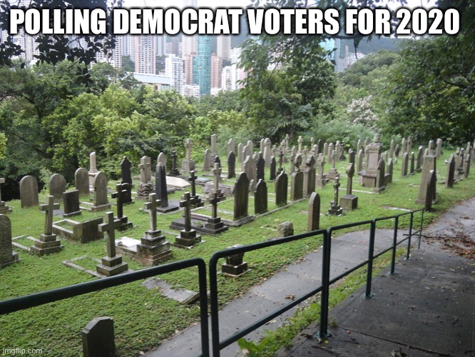 Polling Democrat voters for 2020 | POLLING DEMOCRAT VOTERS FOR 2020 | image tagged in democrat,voter fraud,loser | made w/ Imgflip meme maker