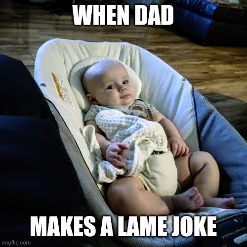 Sassy baby | WHEN DAD; MAKES A LAME JOKE | image tagged in skeptical baby,baby,sassy black woman,blank,look | made w/ Imgflip meme maker