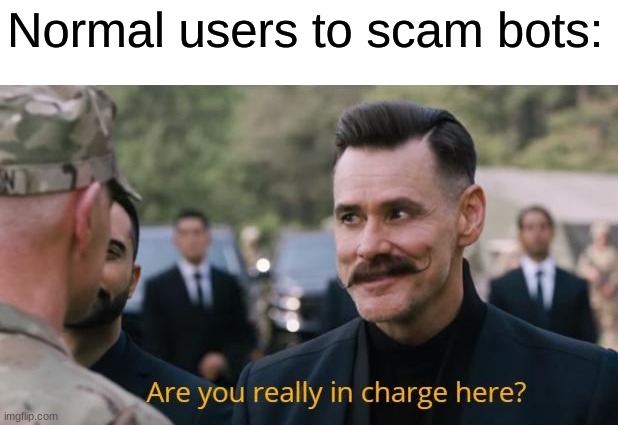 Are you really in charge here? | Normal users to scam bots: | image tagged in are you really in charge here | made w/ Imgflip meme maker