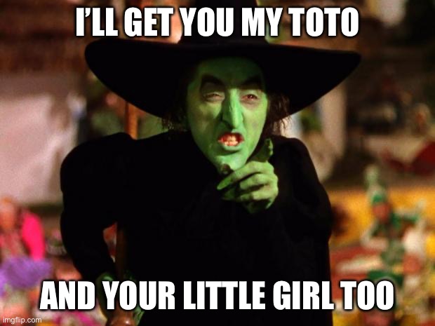wicked witch  | I’LL GET YOU MY TOTO AND YOUR LITTLE GIRL TOO | image tagged in wicked witch | made w/ Imgflip meme maker