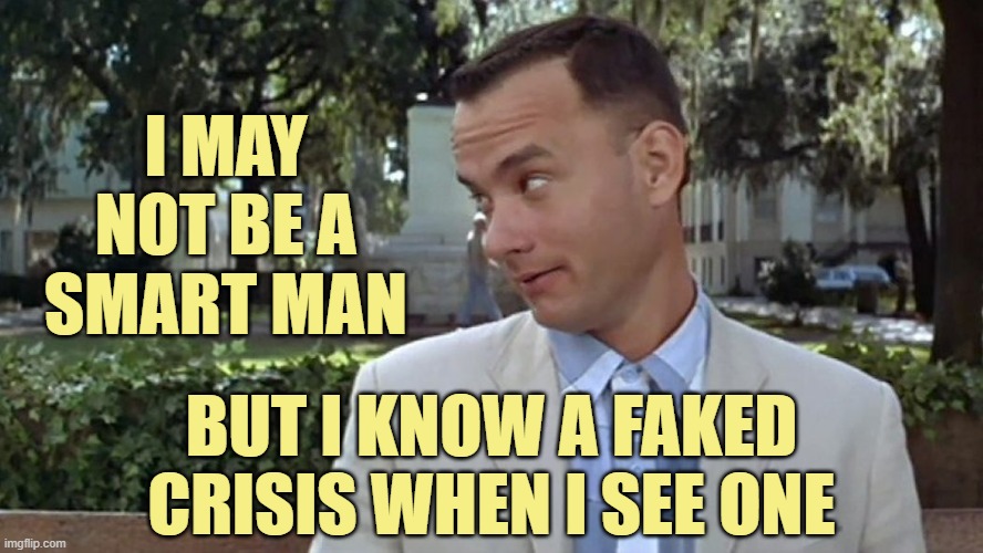 Bloated death counts, conspiracies, fake news reports... | I MAY NOT BE A SMART MAN; BUT I KNOW A FAKED CRISIS WHEN I SEE ONE | image tagged in forrest gump face | made w/ Imgflip meme maker